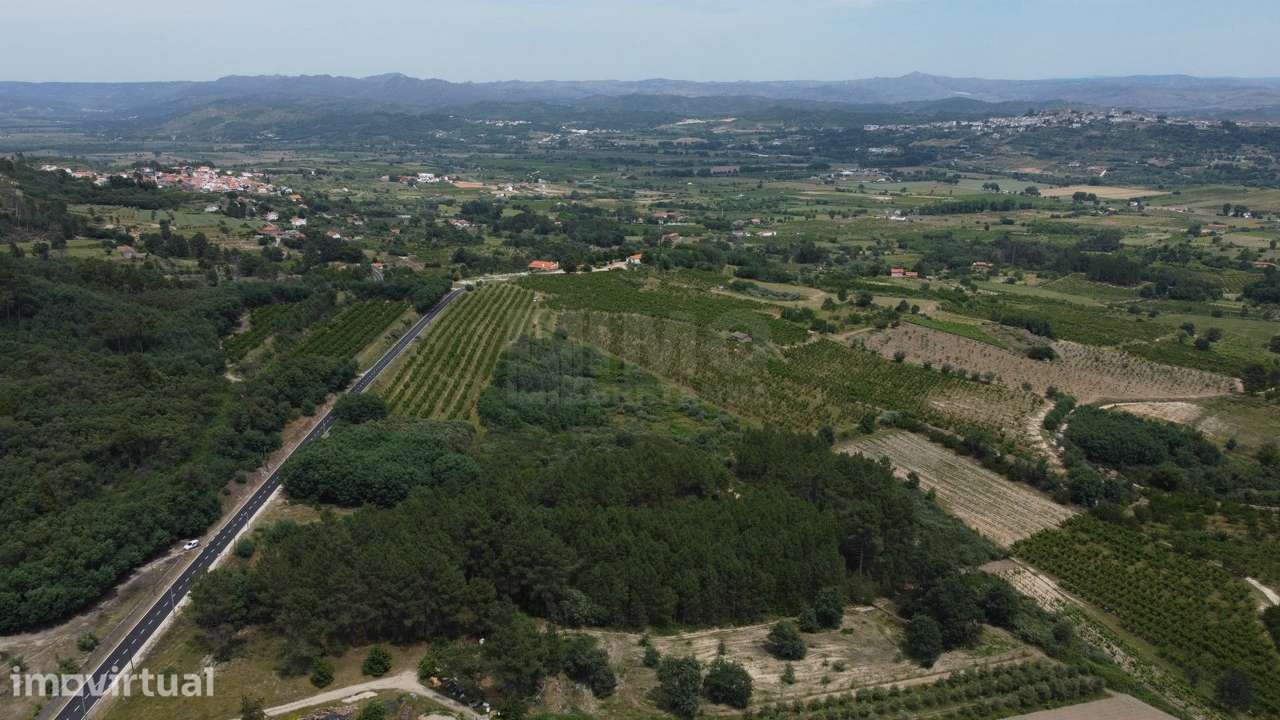 Terreno Rústico c/ 8.331 m² em Aldeia do Souto – Covilhã - Grande imagem: 3/9