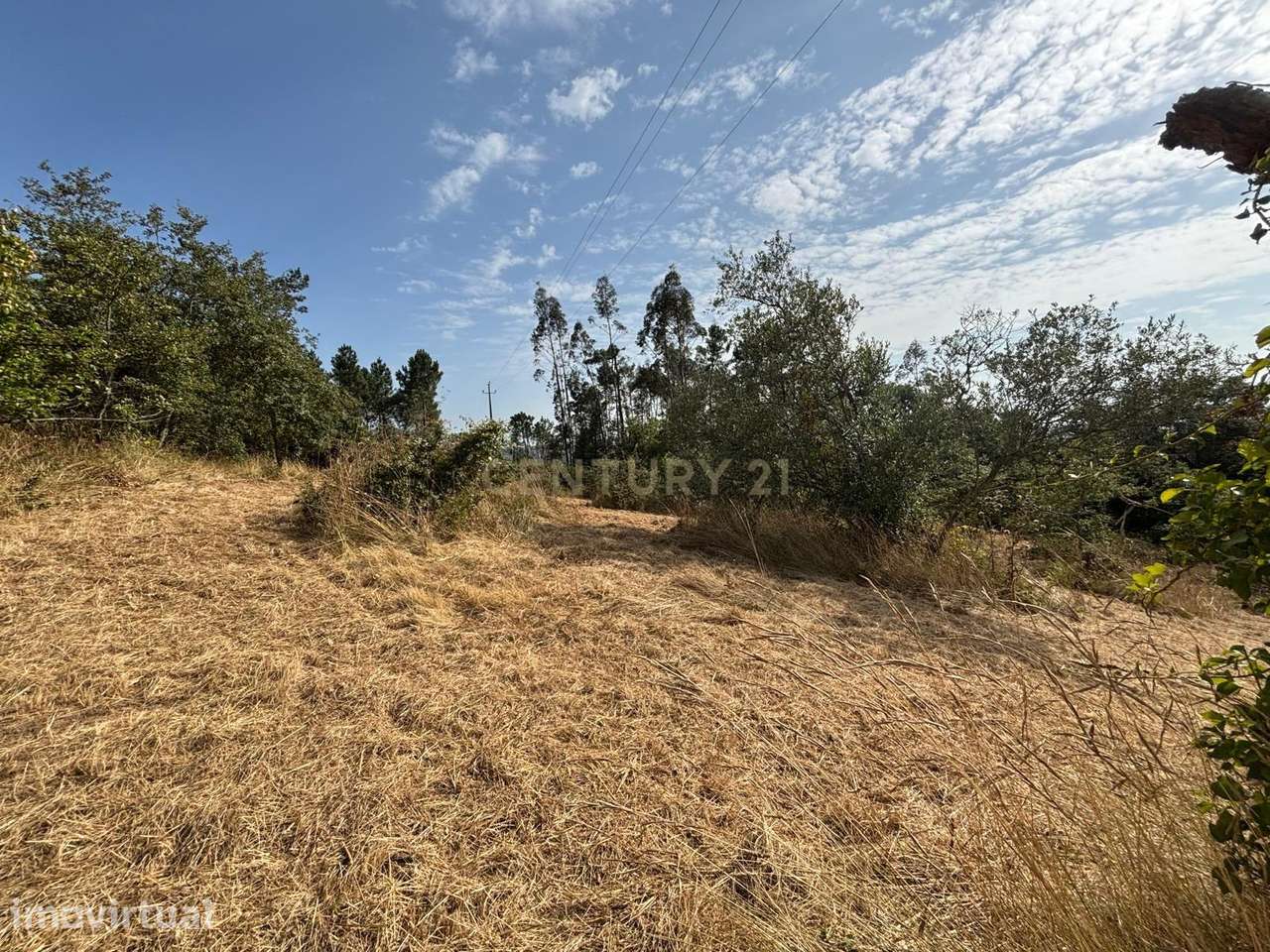 Terreno com viabilidade construtiva em Santiago de Litém - Localização - Grande imagem: 5/21
