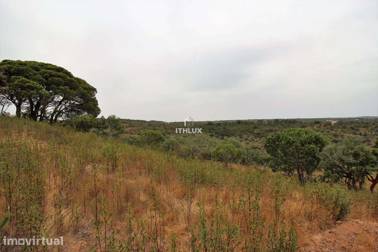 Propriedade Rural em São Francisco da Serra com 9,875000 ha e vista ma - Grande imagem: 2/40