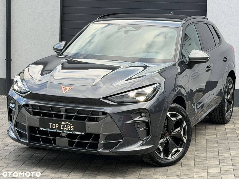 Cupra Terramar 2.0 TSI 4Drive DSG VZ - 12