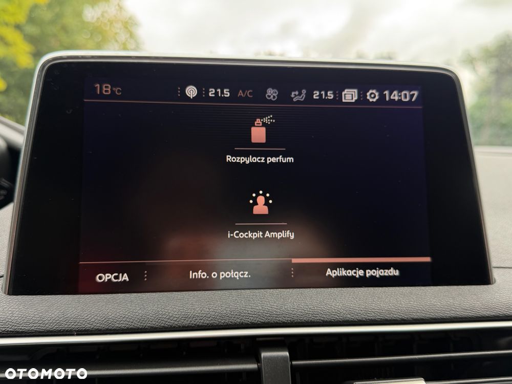 Peugeot 3008 - 29