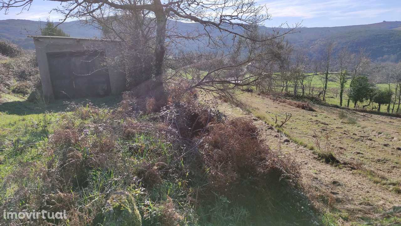 Terreno Rústico  Venda em Gouveia (São Simão),Amarante - Grande imagem: 3/13