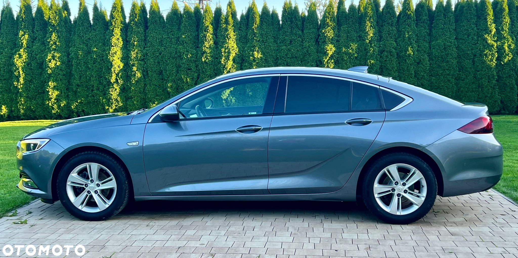 Opel Insignia 1.5 T Elite S&S - 17