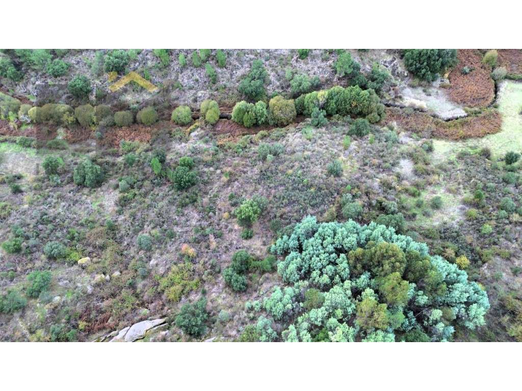 Terreno rustico com 12.750m2 para venda em Cafede! - Grande imagem: 4/7