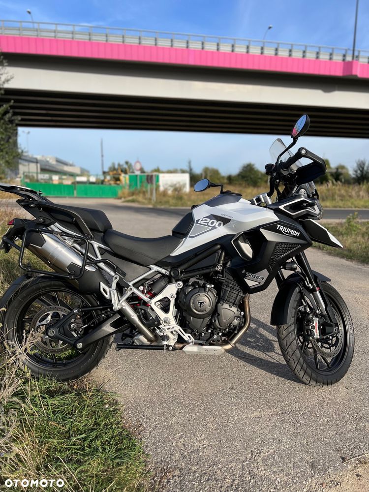 Triumph Tiger - 19