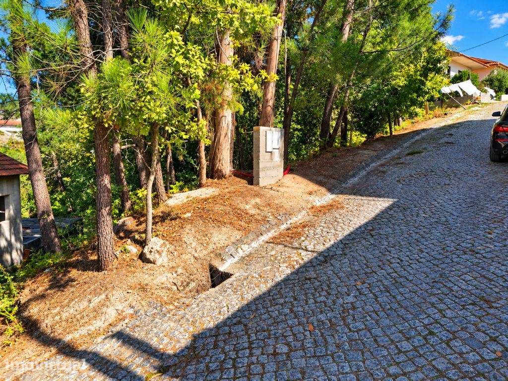 TERRENO PARA CONSTRUÇÃO  GATÃO, AMARANTE | 55.000€ - Grande imagem: 3/6