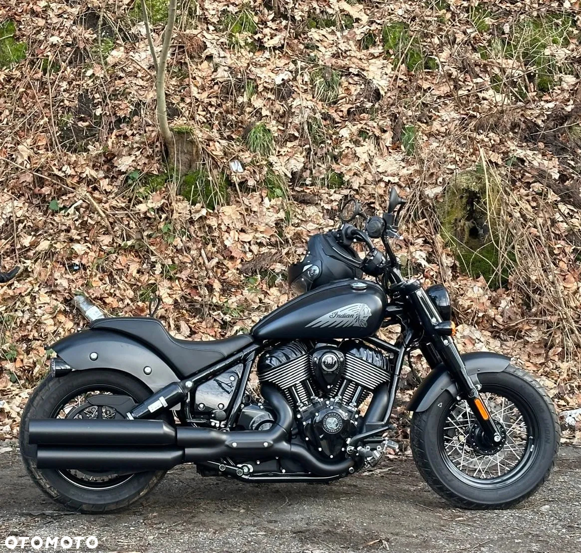 Indian Chief - 35