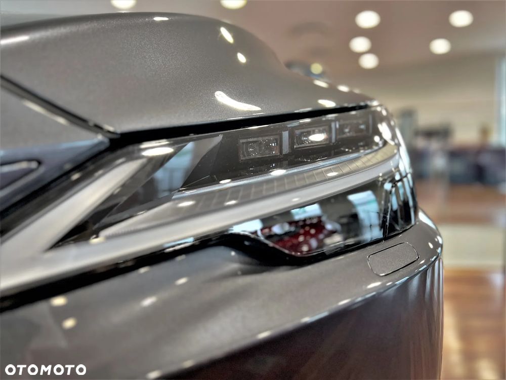 Lexus RX 450h+ Omotenashi - 14