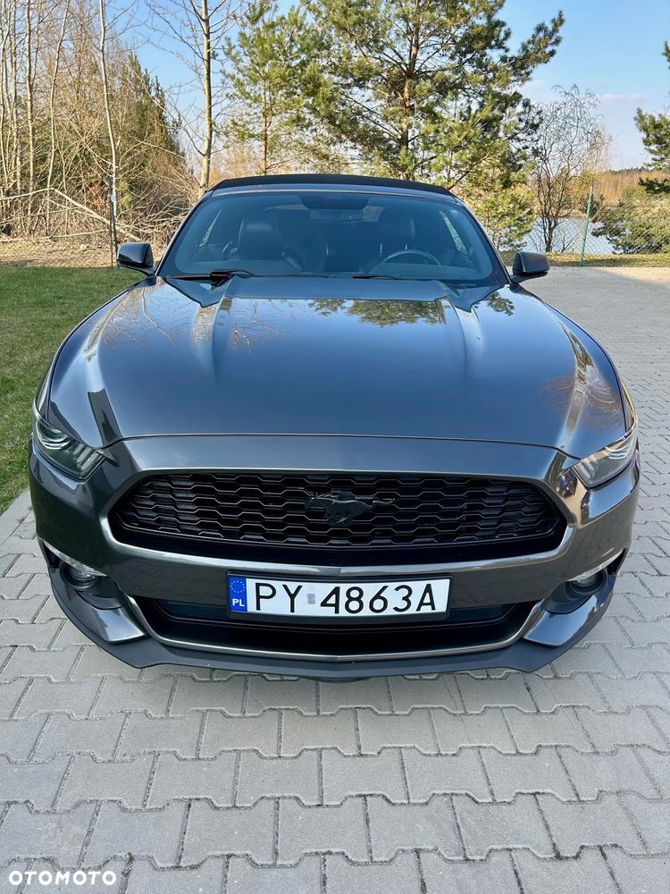 Ford Mustang Cabrio 2.3 Eco Boost - 2