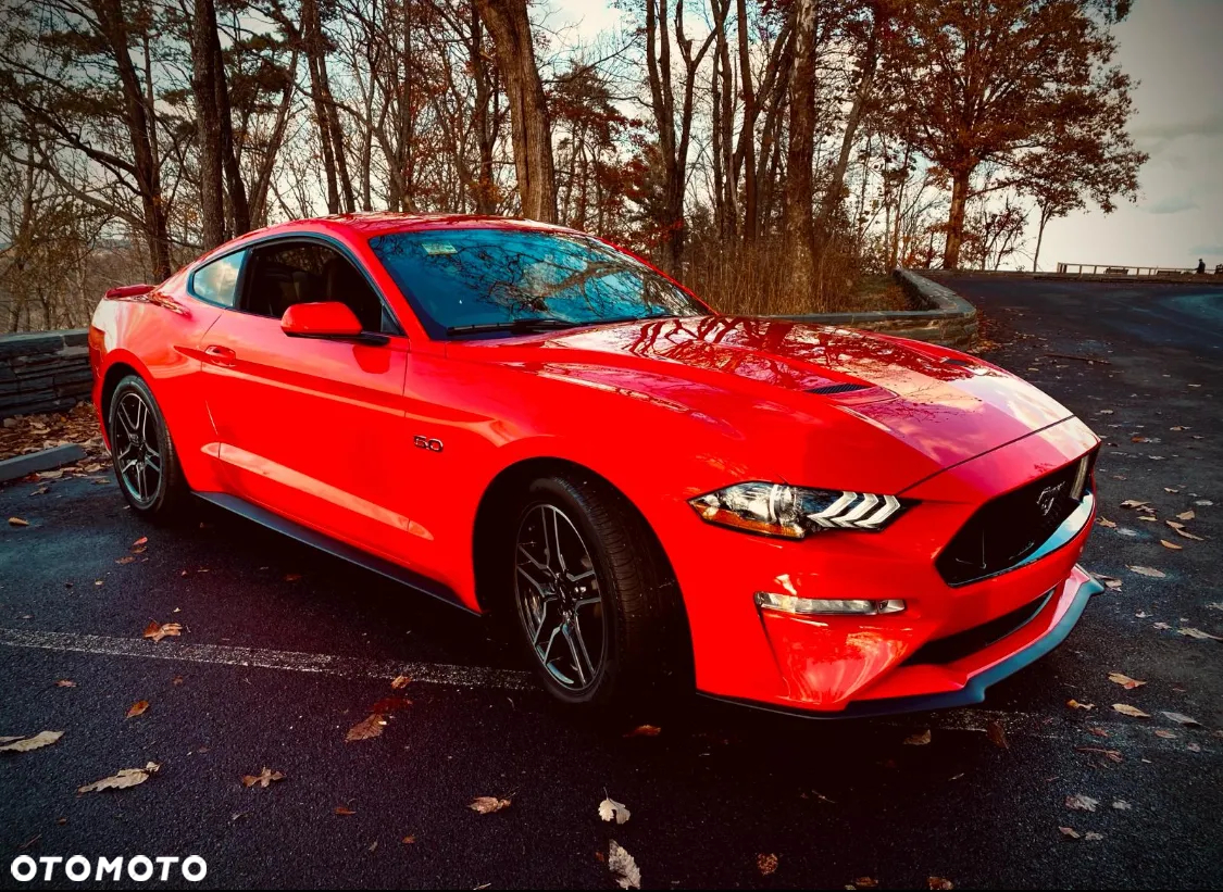 Ford Mustang Fastback 5.0 Ti-VCT V8 MACH1 - 5
