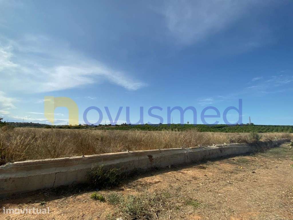 Quinta em plena produção de laranjal, exploração agrícola, Algarve,... - Grande imagem: 5/11