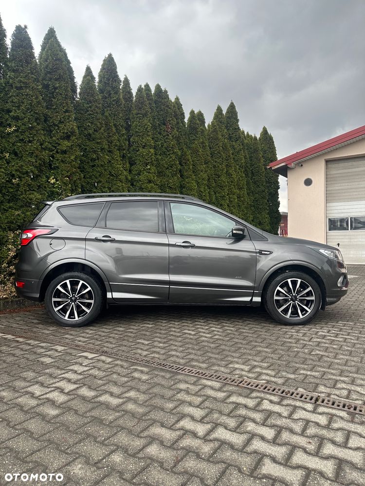 Ford Kuga 2.0 EcoBlue 4x4 ST-LINE - 5