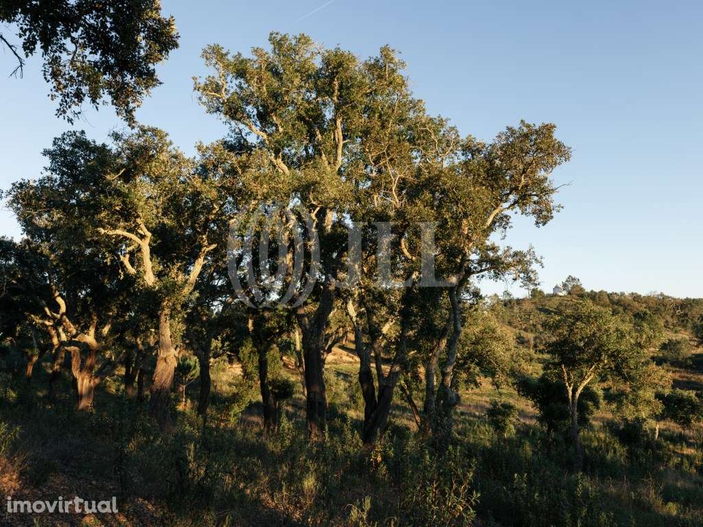 Terreno, com vista Mar e Serra, em Santiago do Cacém - Grande imagem: 2/26