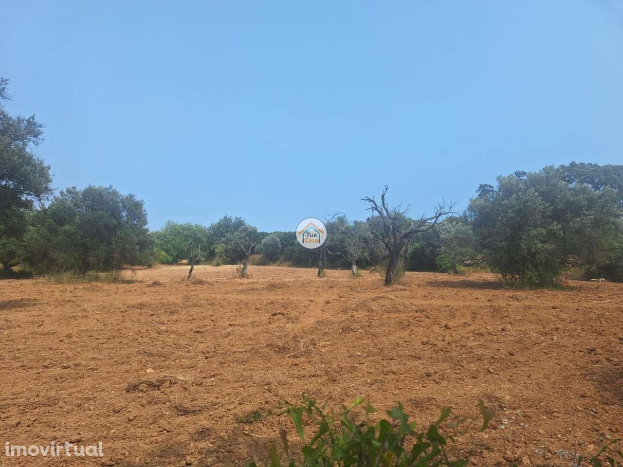 Terreno Rústico em Bordeira no concelho de Faro - Grande imagem: 2/20