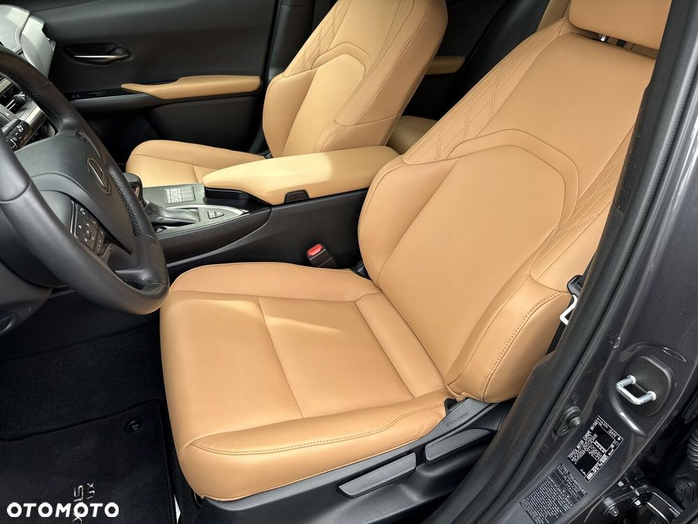 Lexus UX 250h GPF F Sport Design 2WD - 10
