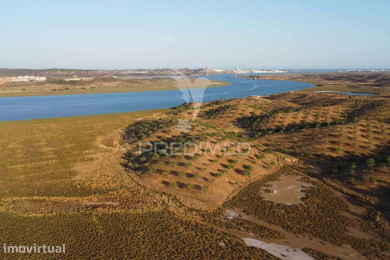Quinta junto ao Guadiana, 357ha, com ruínas com 1623m2 - Grande imagem: 2/40