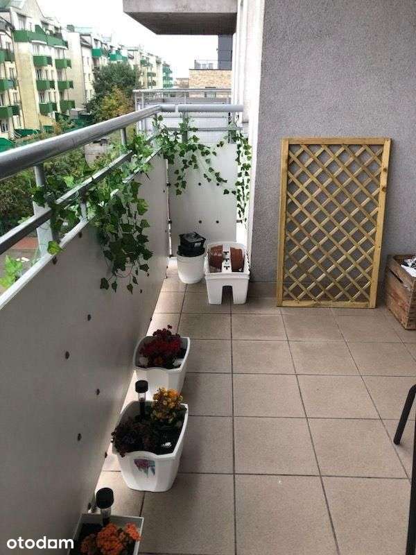 2 pokoje, 50m2 z internetem. 2900 zł+ 800 czynsz