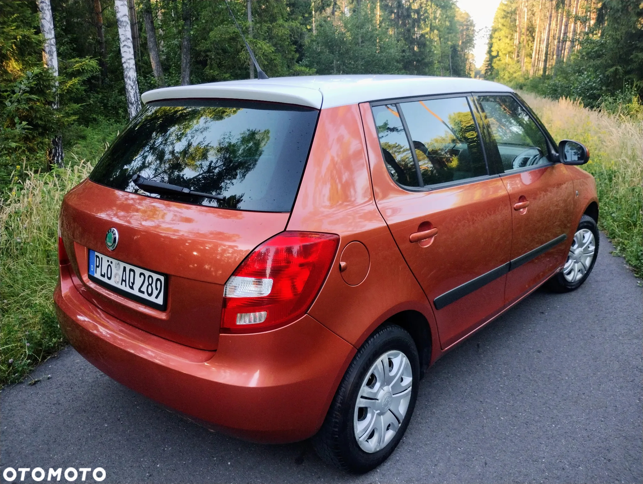 Skoda Fabia - 3
