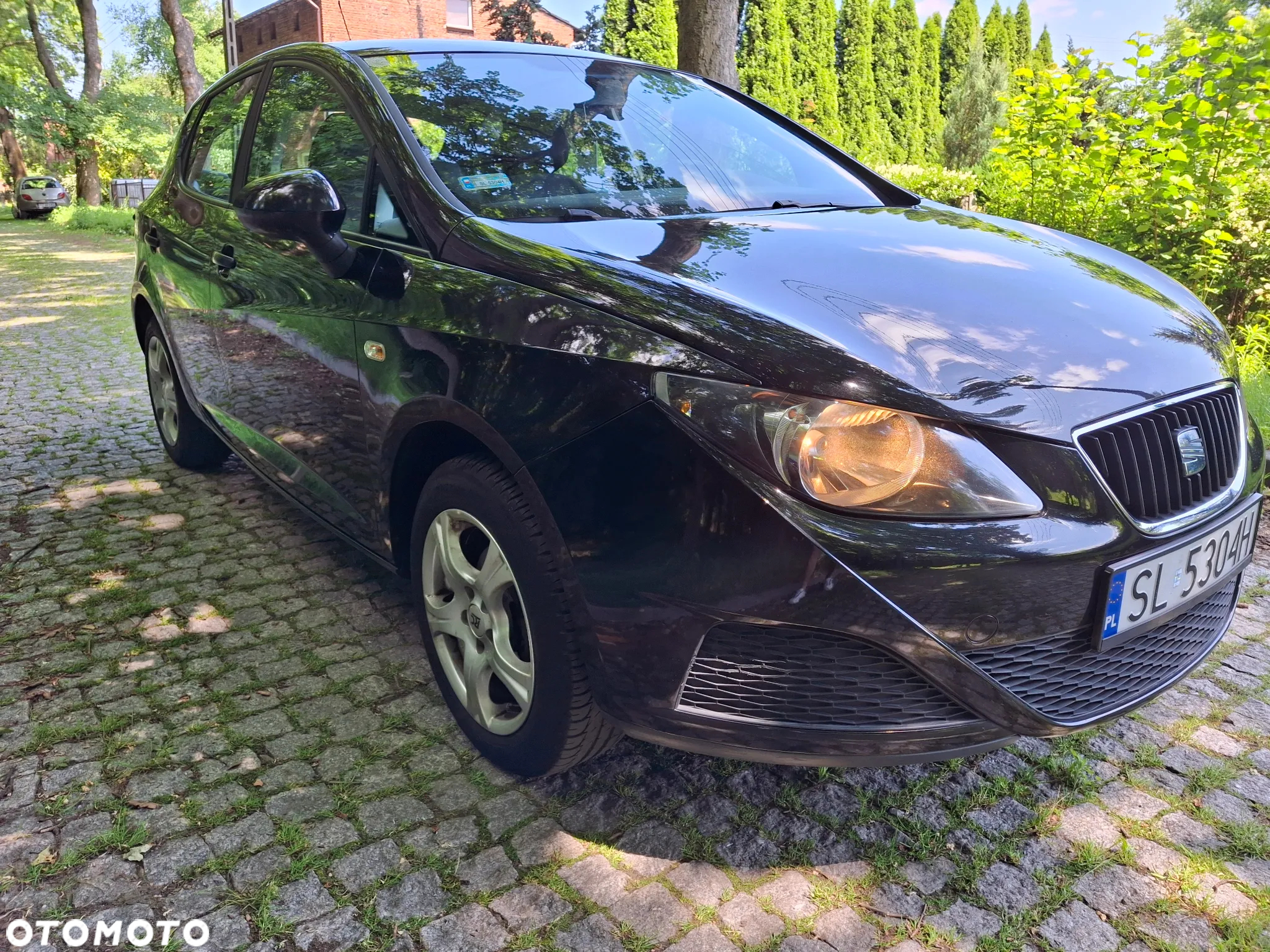 Seat Ibiza - 21