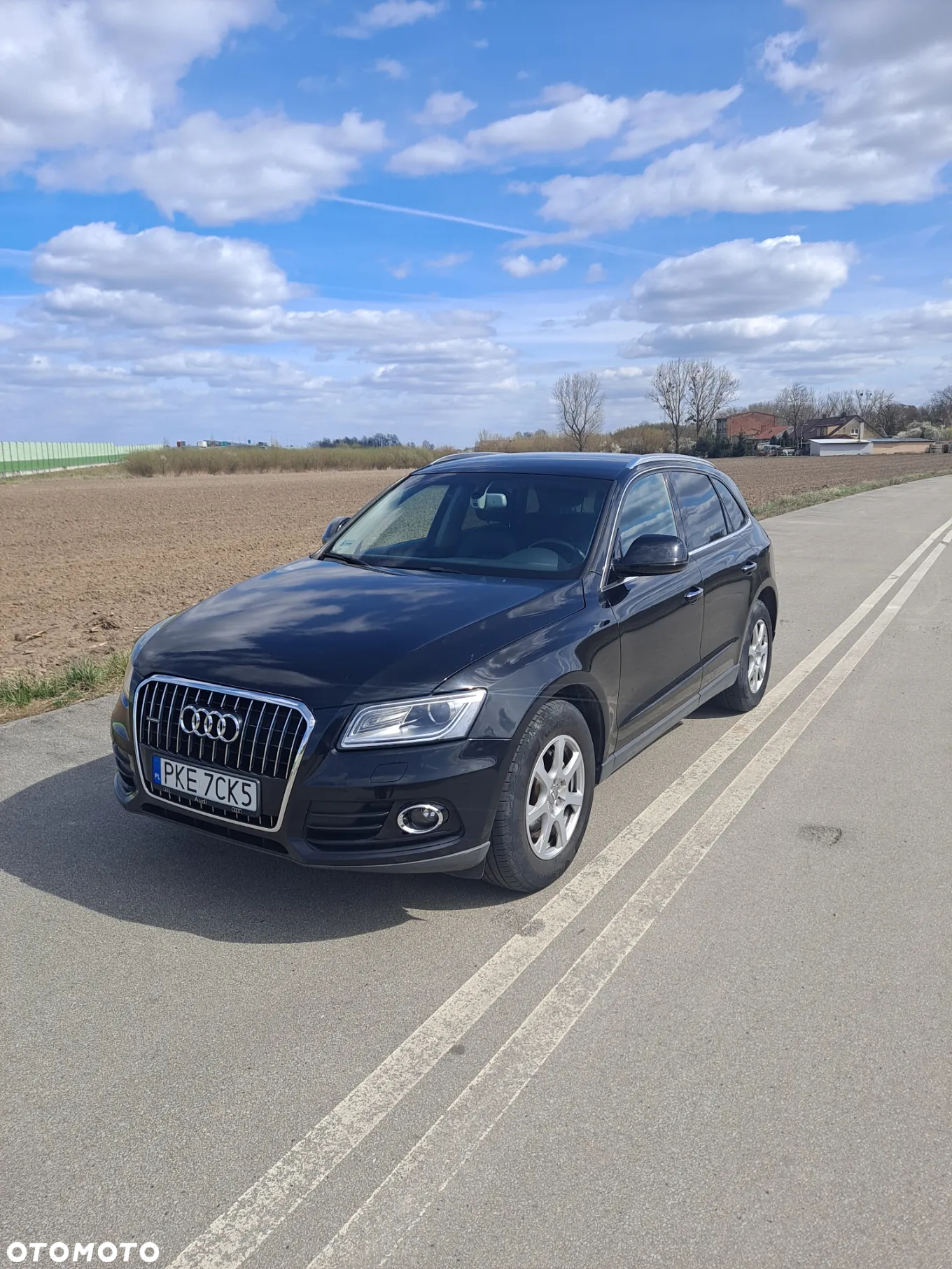 Audi Q5 - 2