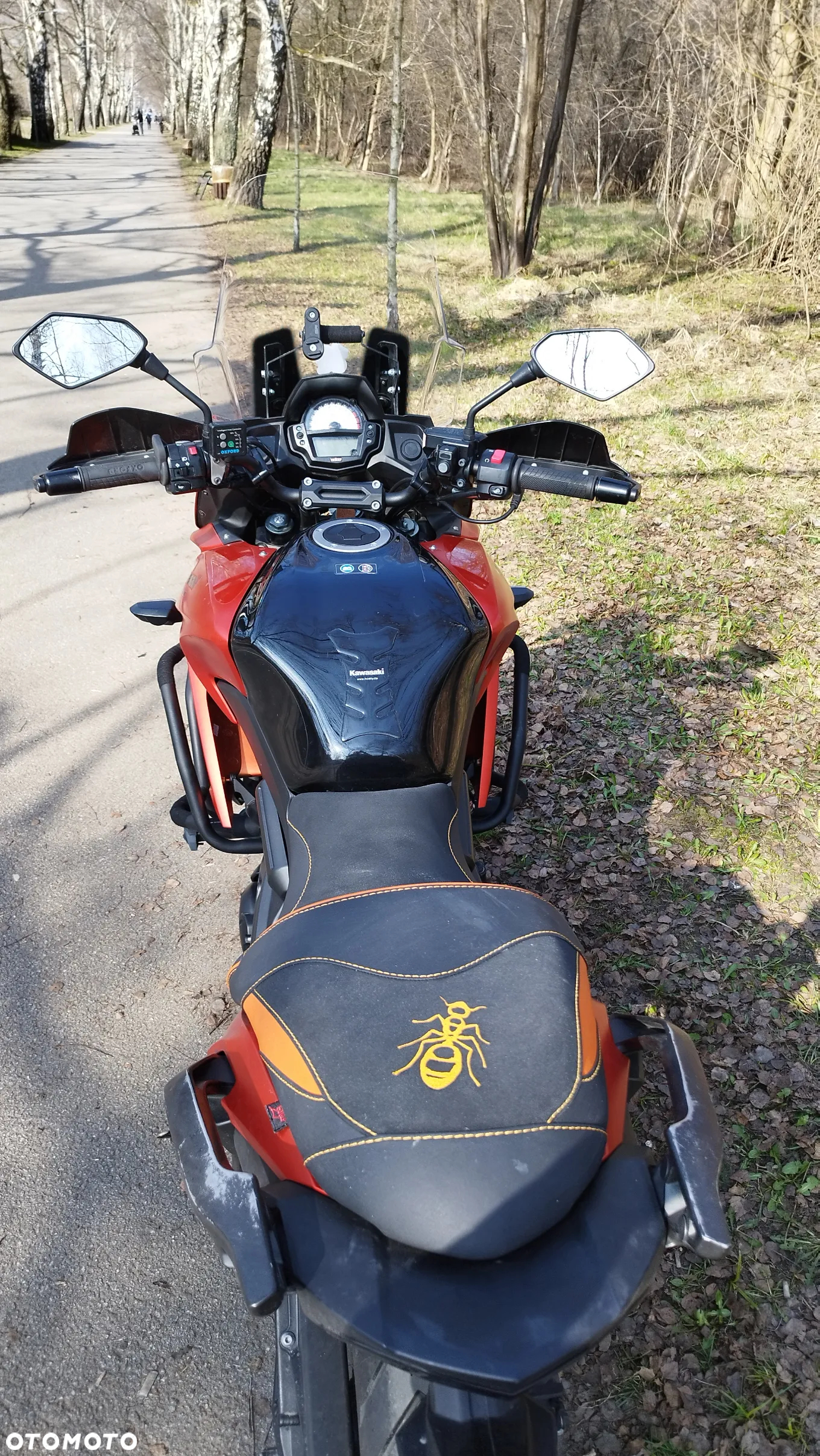 Kawasaki Versys 650
