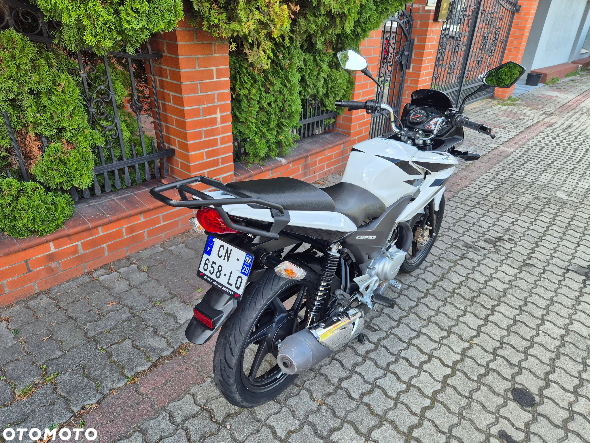 Honda CBF - 3