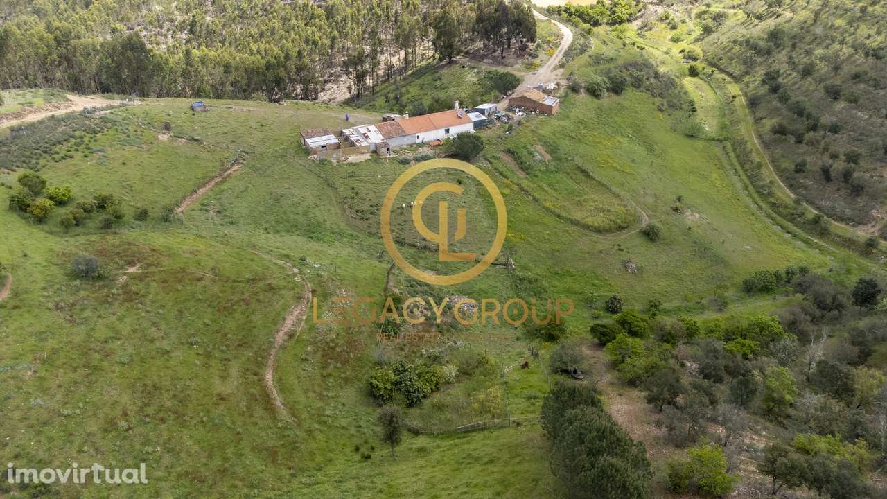 Quinta de 15 ha com habitação de 112m2 em São Martinho das Amoreiras - Grande imagem: 3/44