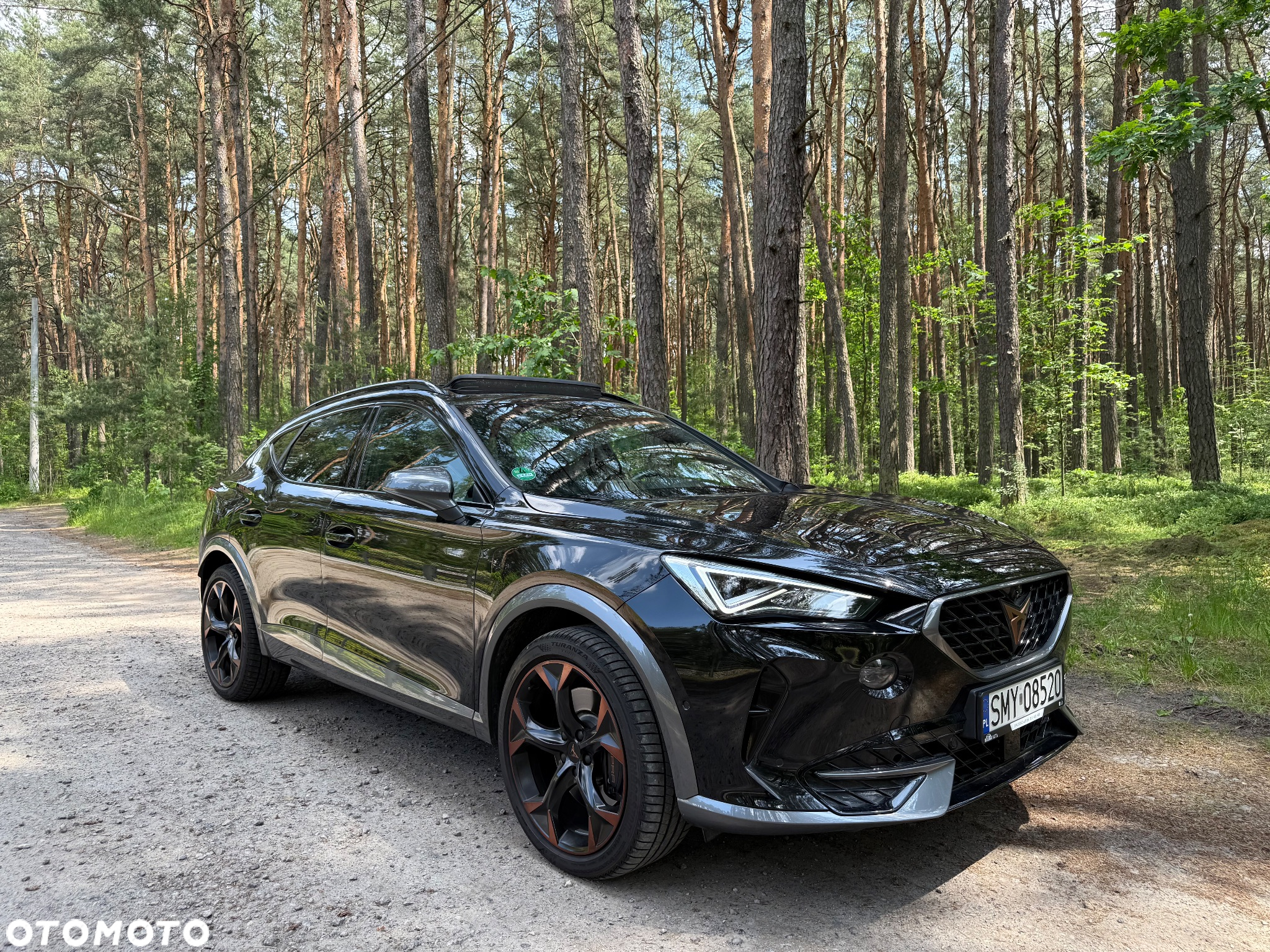 Cupra Formentor 2.0 TSI VZ DSG - 22