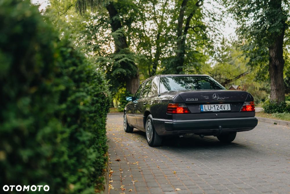 Mercedes-Benz W124 (1984-1993) - 5