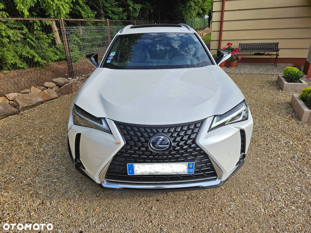 Lexus UX 250h (E-FOUR) Luxury Line - 6