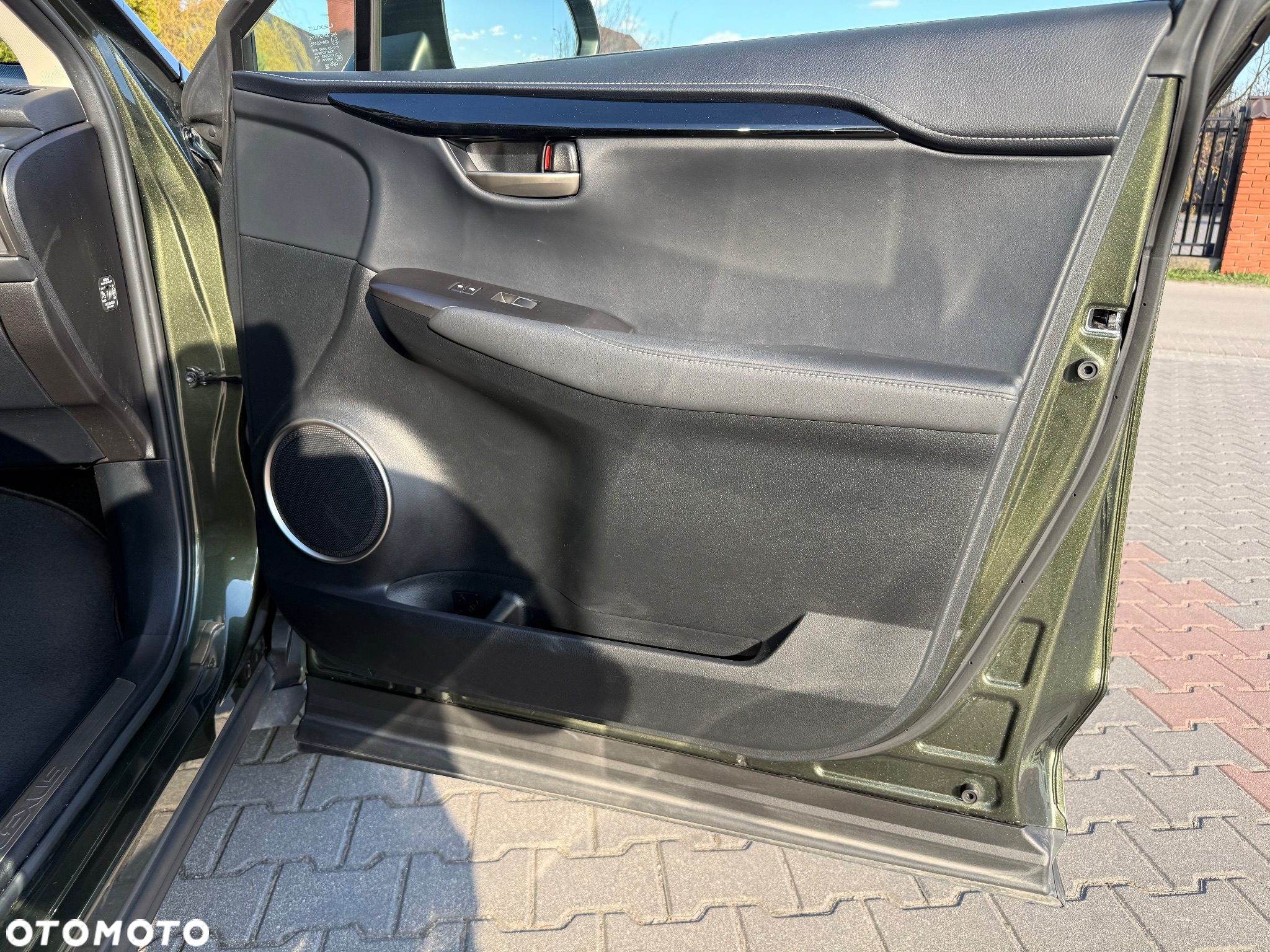 Lexus NX - 40