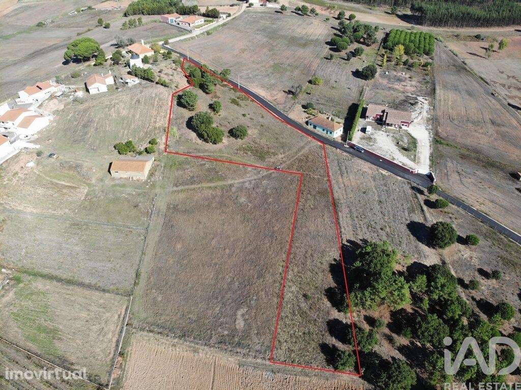 Terreno em Ramalhal de 5630,00 m2 - Grande imagem: 3/7