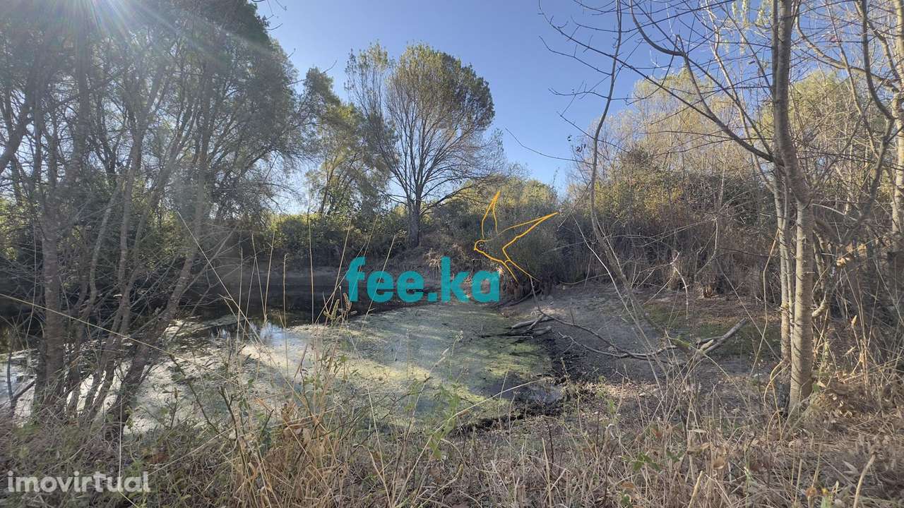 Terreno c/ Construção Rural - Grande imagem: 4/29