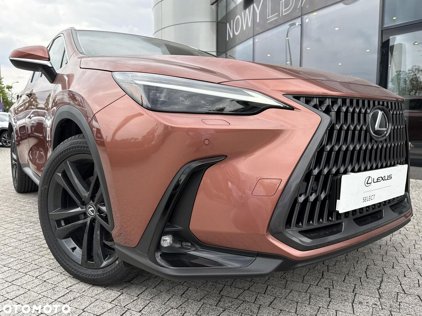Lexus NX - 26