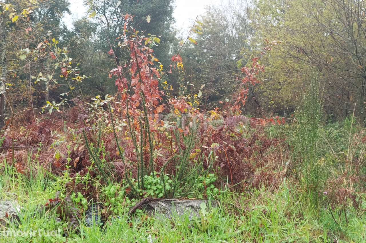 Terreno Urbanizável – O Local Perfeito para Construir a Sua Moradi... - Grande imagem: 5/44