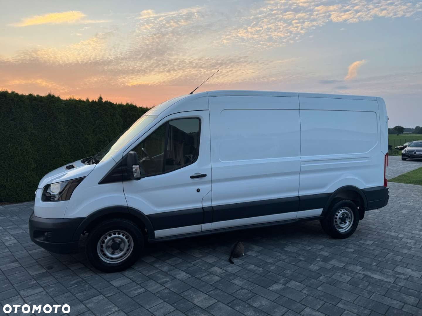 Ford Transit - 11
