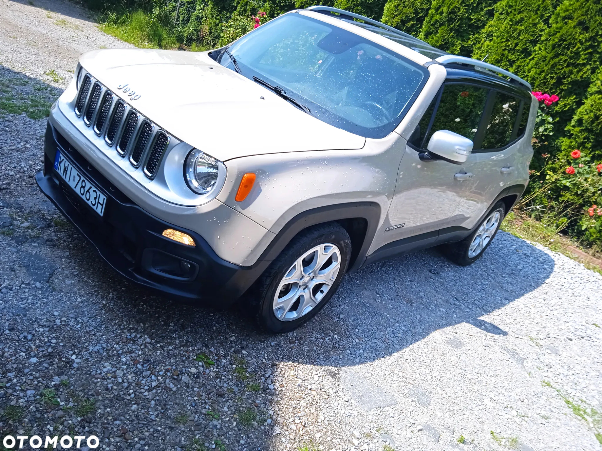Jeep Renegade - 3