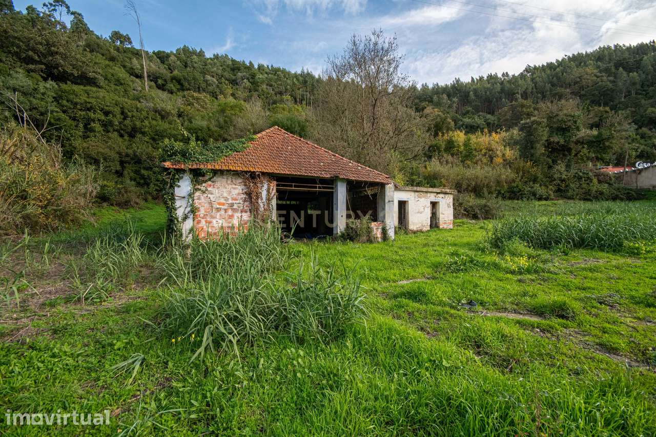 Ruína com terreno de 9800m2 em Alcobaça – Oportunidade Única de invest - Grande imagem: 5/19