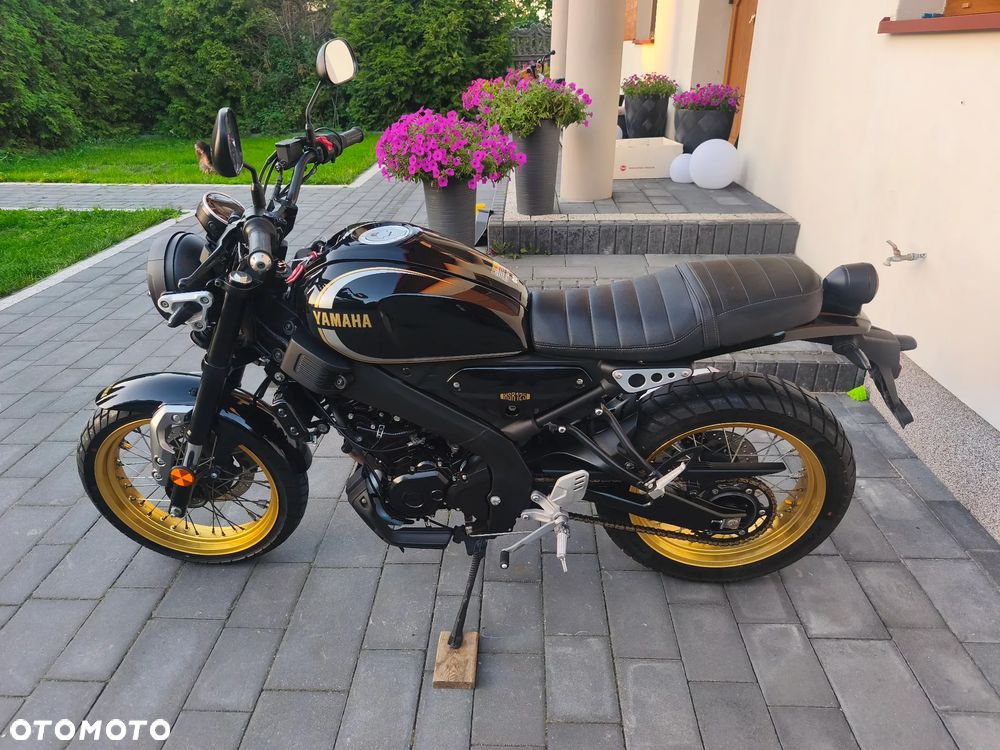 Yamaha XSR - 6