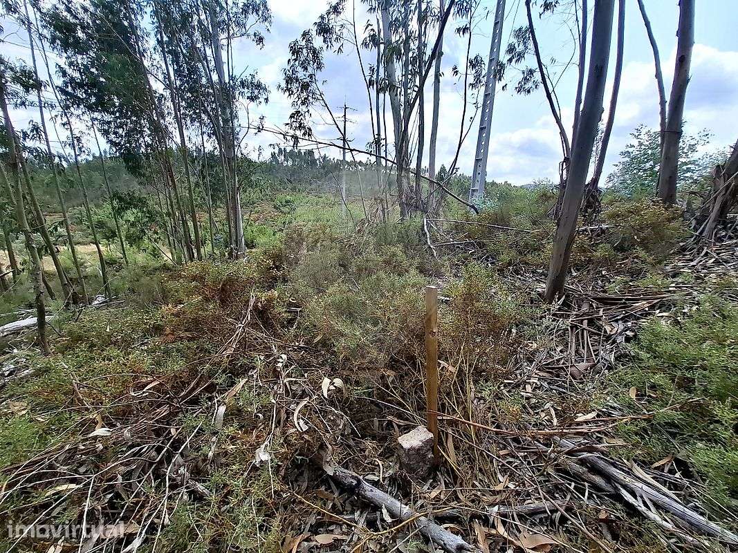 Terreno  para venda - Grande imagem: 2/5