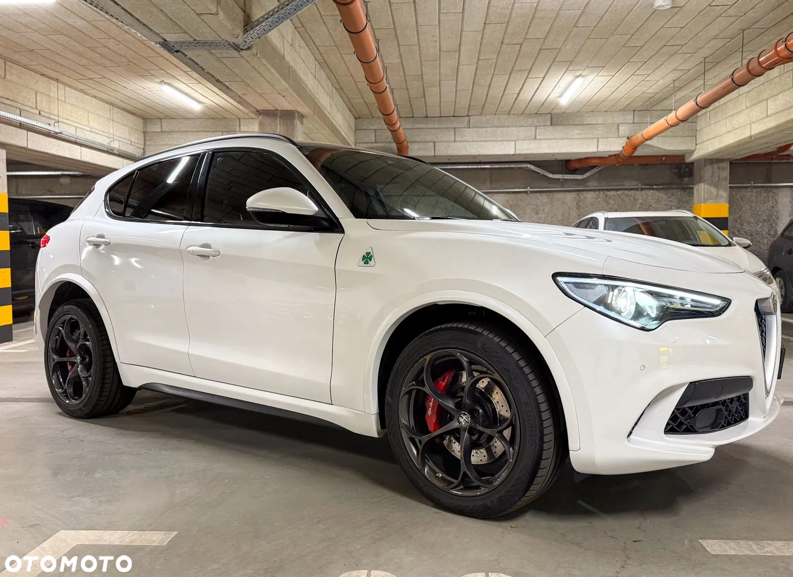 Alfa Romeo Stelvio 2.9 V6 Bi-Turbo Quadrifoglio Q4