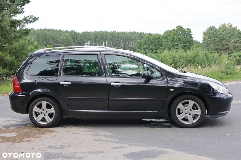 Peugeot 307 2.0 Mistral - 4