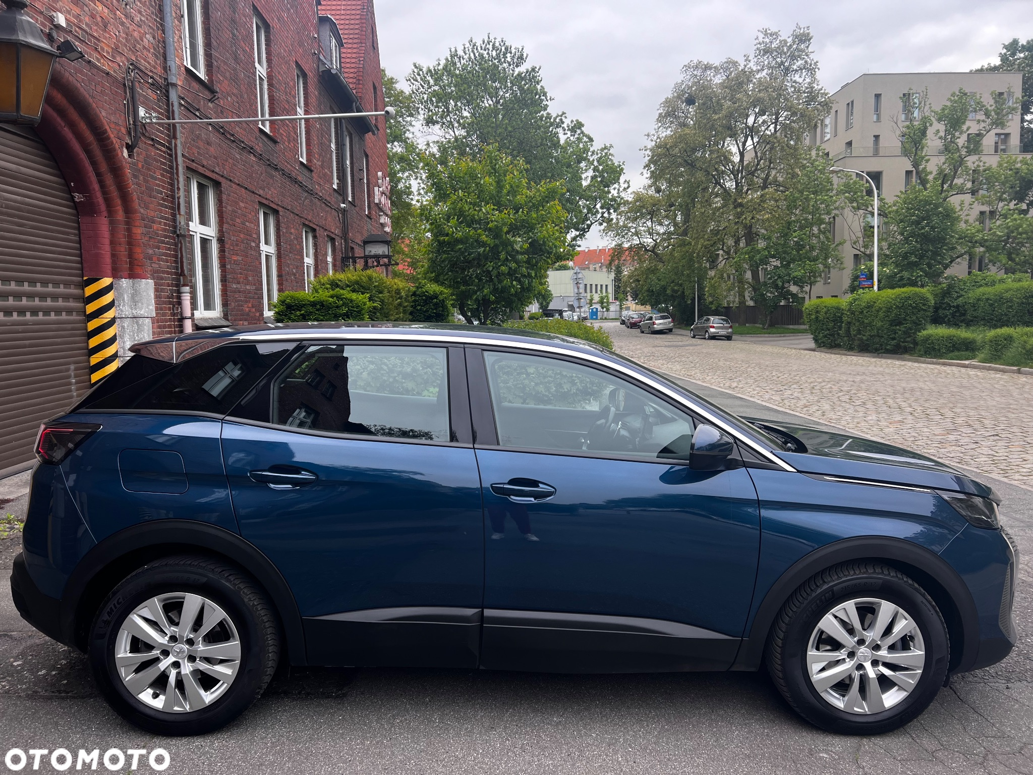 Peugeot 3008 1.5 BlueHDi Active Pack S&S EAT8 - 18