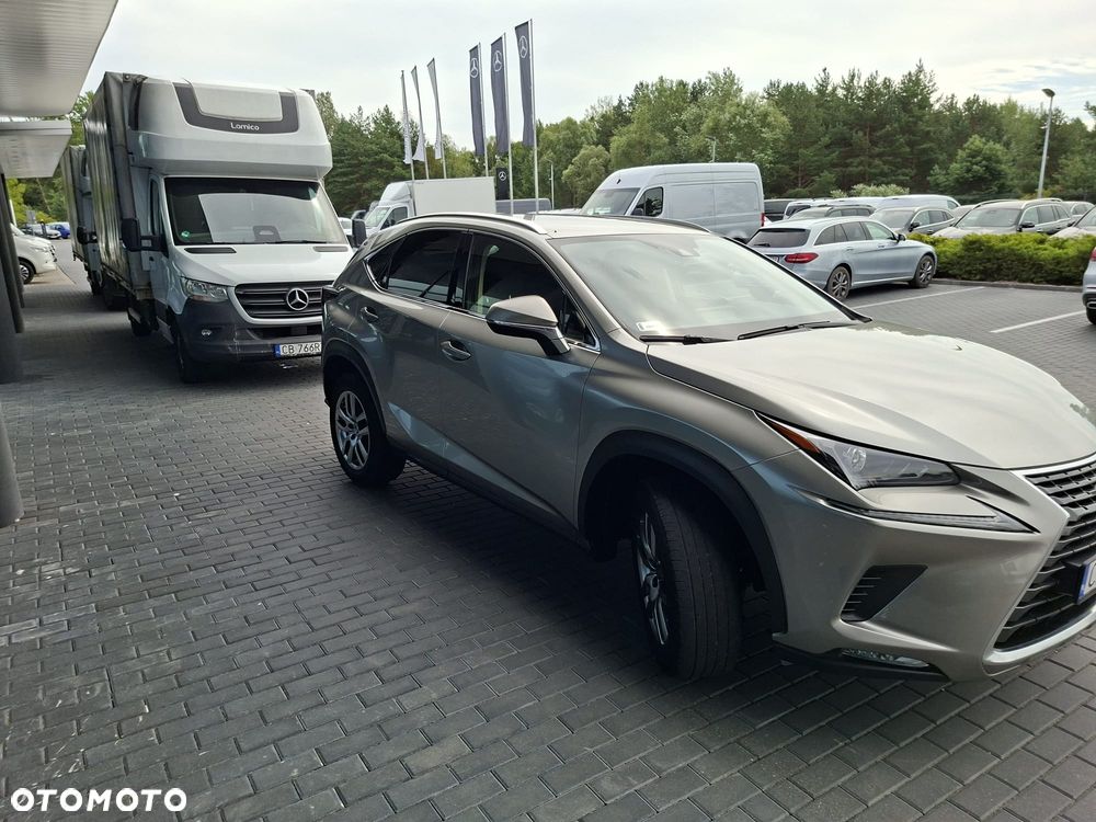 Lexus NX 300 Business Edition AWD - 6