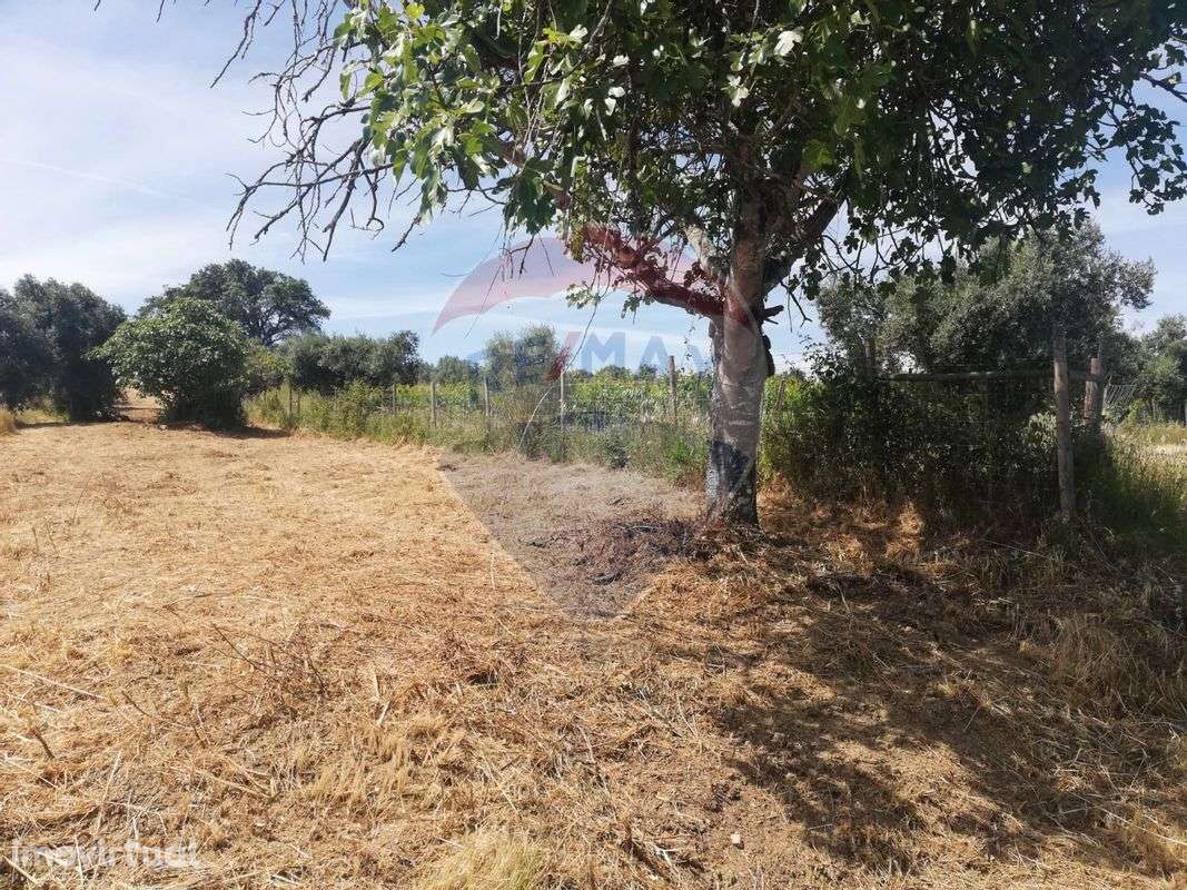 Terreno  para venda - Grande imagem: 2/4