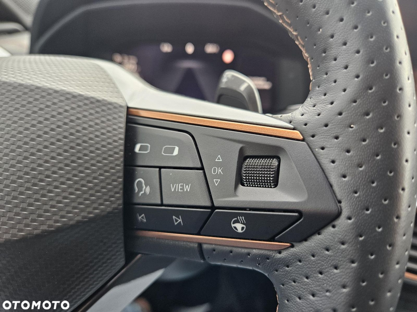 Cupra Formentor 2.0 TSI 4Drive DSG - 26