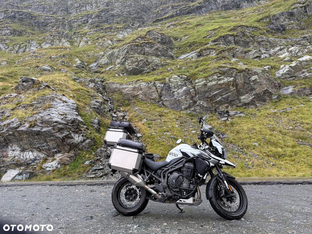 Triumph Tiger - 4
