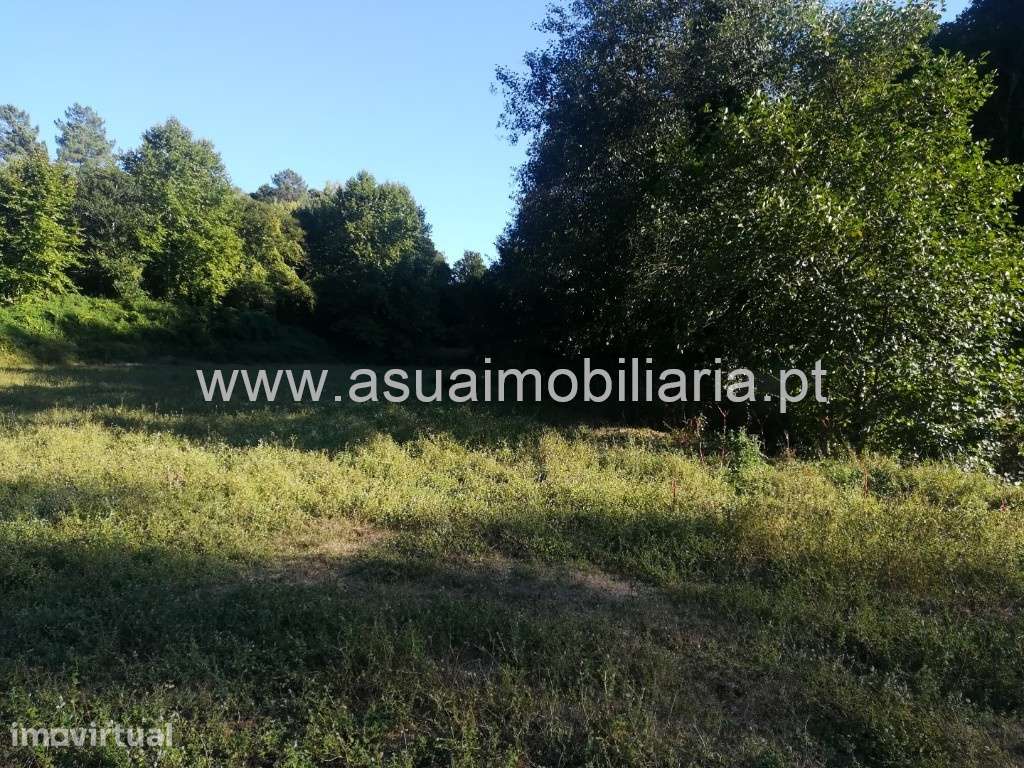 Terreno Agrícola - Caldelas - Grande imagem: 3/4
