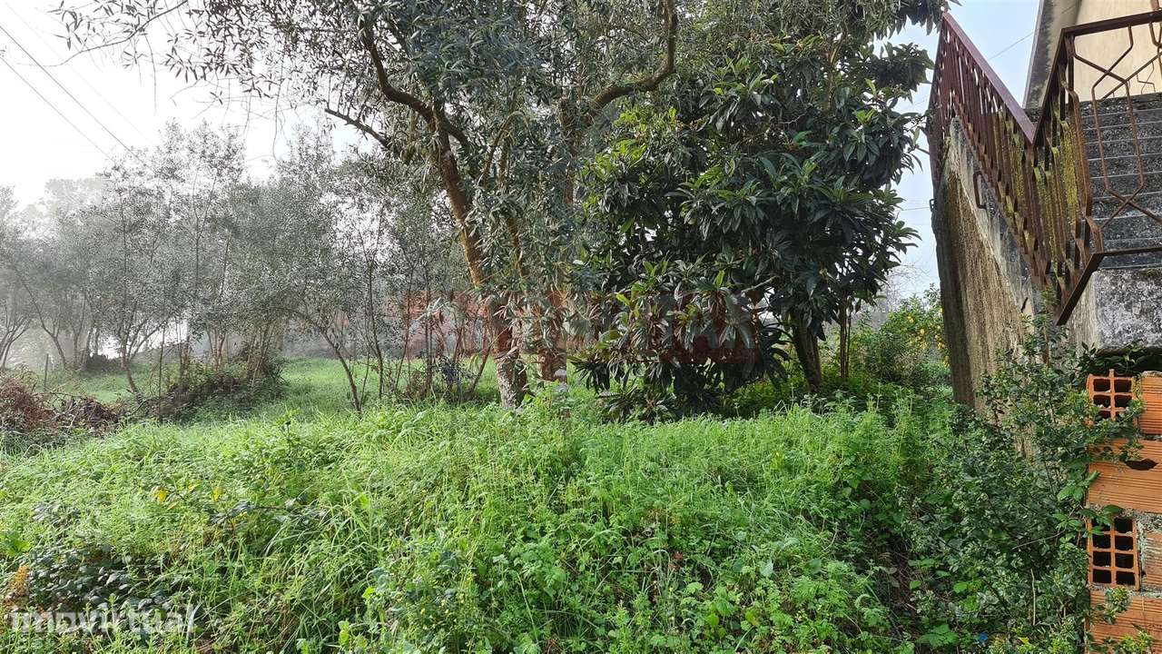 TERRENO EM ZONA HABITACIONAL COM 7.460M2 - Grande imagem: 3/5