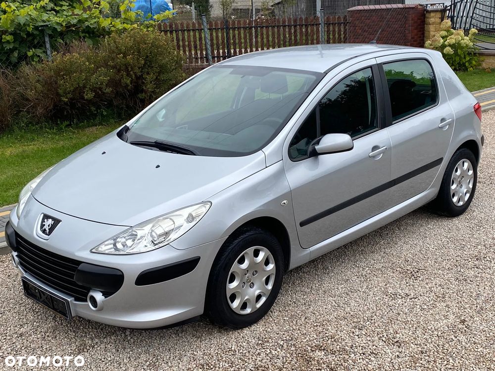 Peugeot 307 110 Tendance - 13
